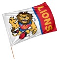 LIONS RETRO FLAG